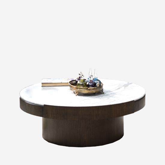 Go coffee table-1075